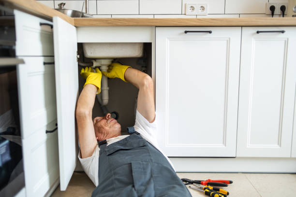 Best Clogged Drain Plumber  in Crystal Lawns, IL
